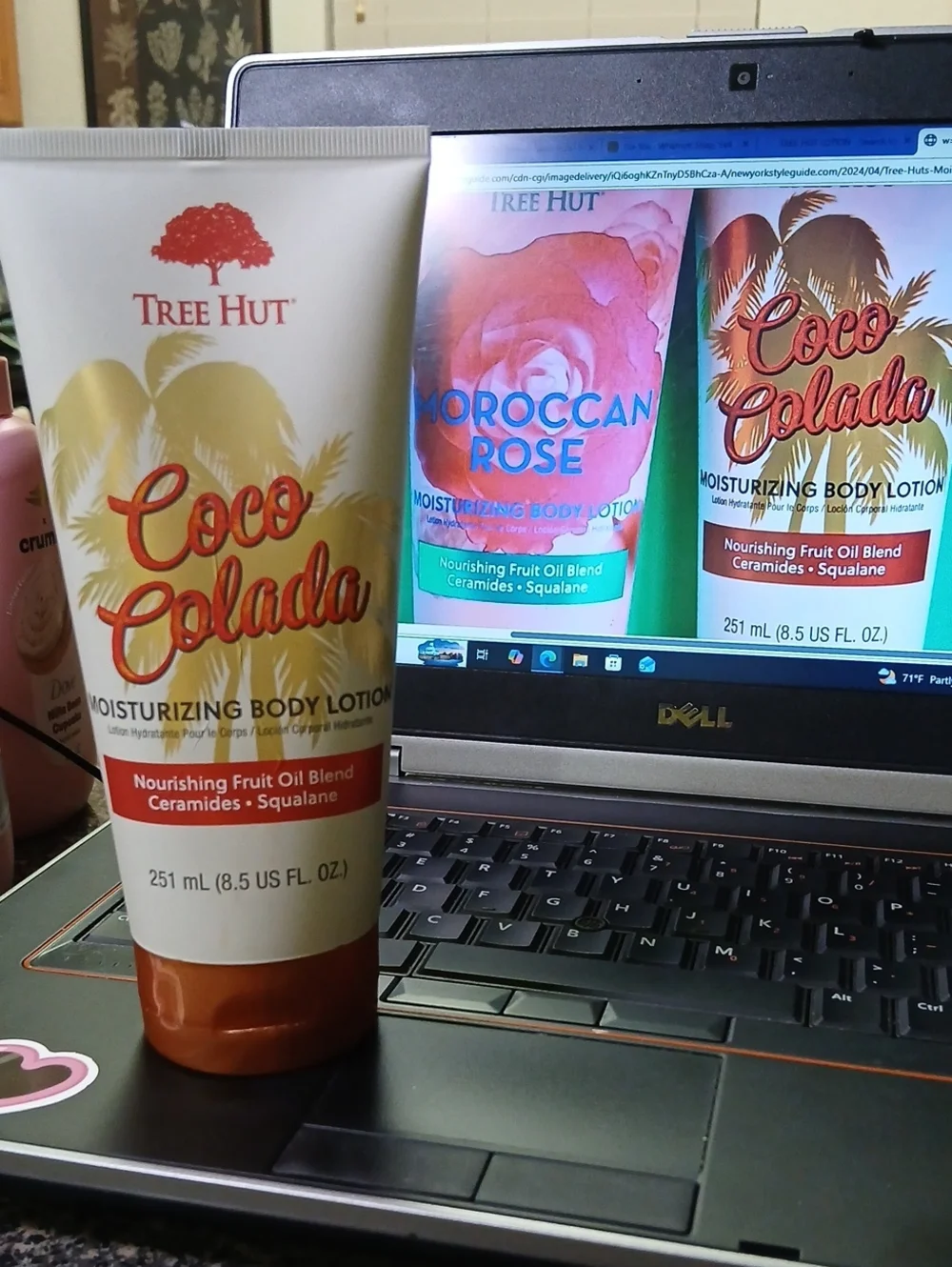 Sealed Coco Colada Moisturizing Body Lotion - Cream Tree Hut